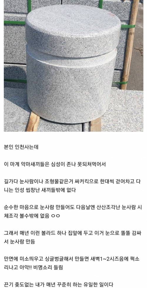 눈사람 부수는 사람 카운터치는 디시인...jpg