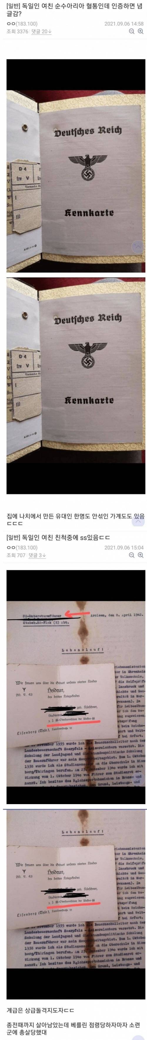 독일 여친이 자신이 순혈 이라고 자랑한다는 디시인