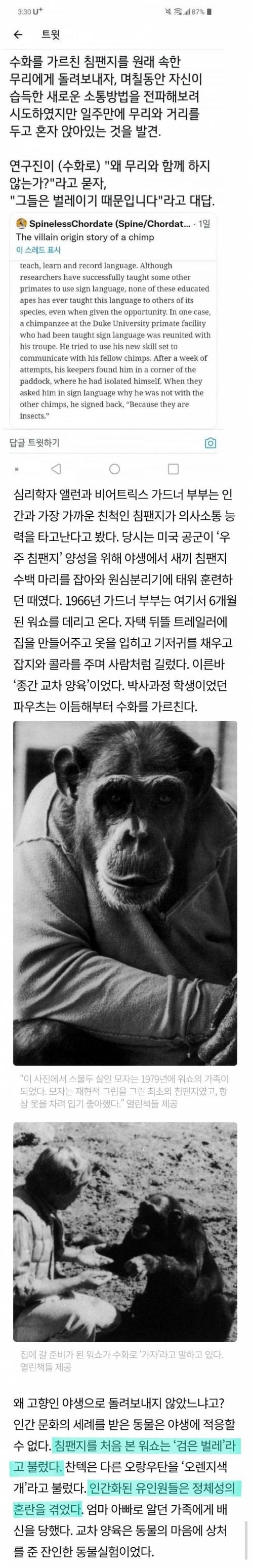 침팬지한테 수화 가르친 결과