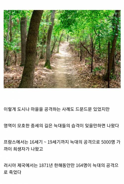 중세 유럽을 공포에 빠트린 인류의 적 늑대