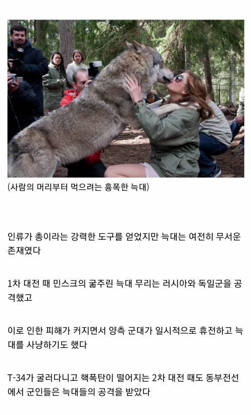 중세 유럽을 공포에 빠트린 인류의 적 늑대