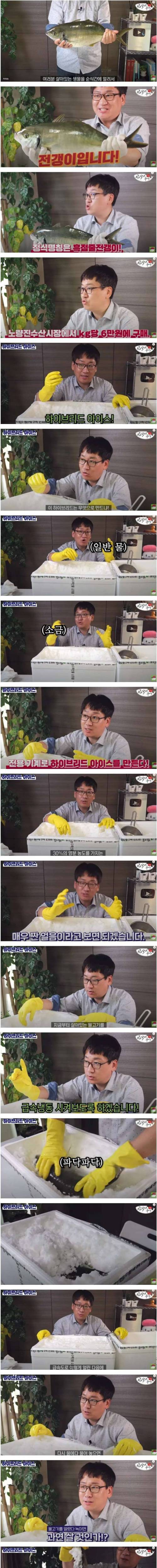 생물 생선 급속냉동 후 물에 다시 넣으면