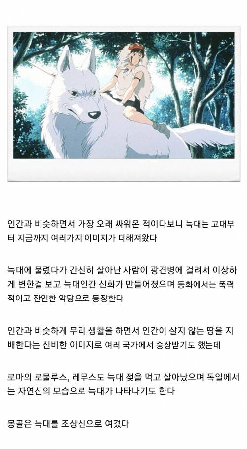 중세 유럽을 공포에 빠트린 인류의 적 늑대