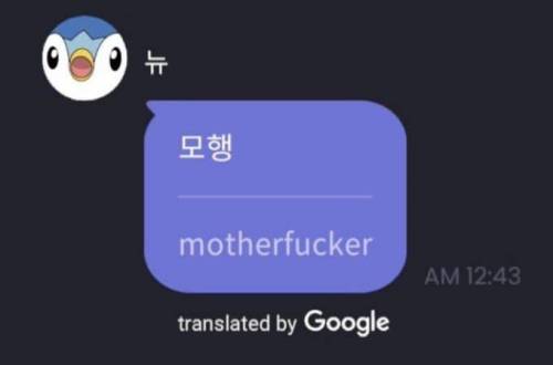 채팅 자동번역 대참사