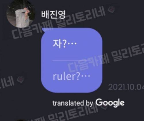 채팅 자동번역 대참사