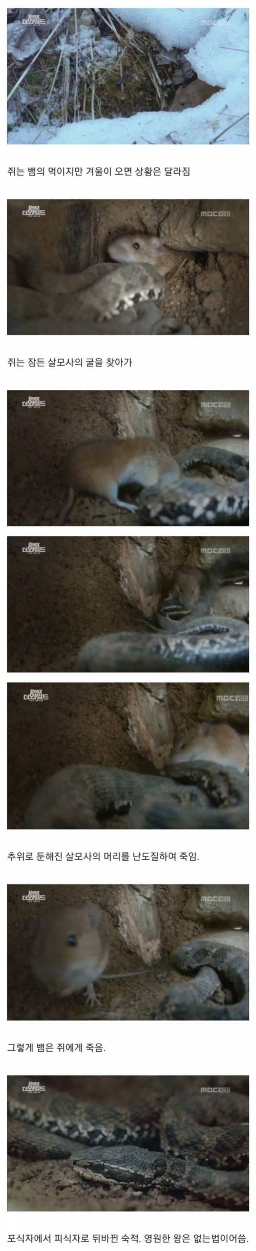 쥐의 1년 존버 결과.jpg