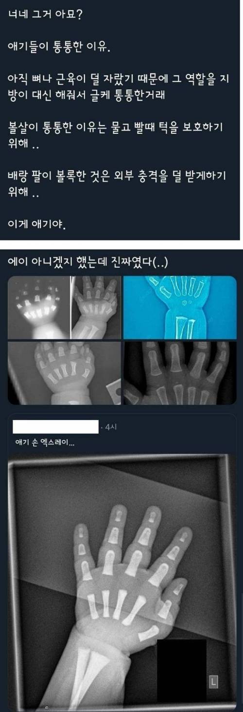 애기들이 통통한 이유.jpg