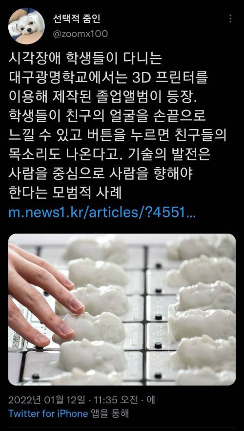 				시각장애 학생들이 다니는 학교에서 제작한 3D 앨범