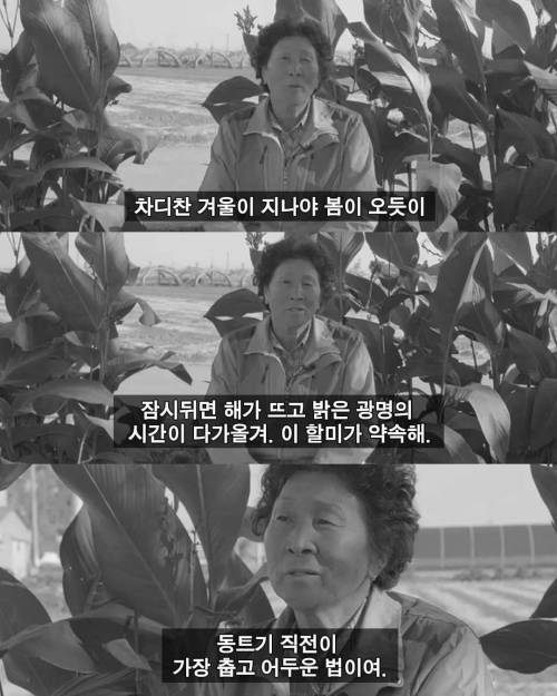 노인의 조언