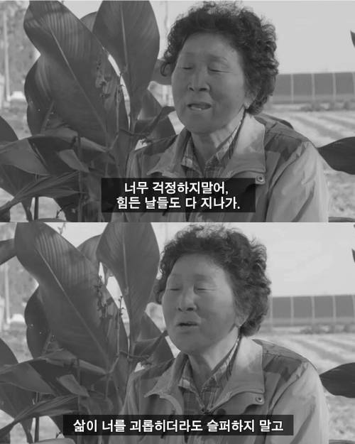 노인의 조언