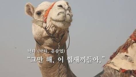 몽골에서 풍장할때 시체위치를 기억하는법