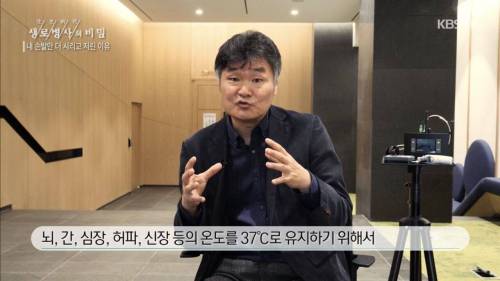 수족냉증의 원인