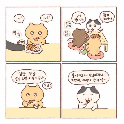 손님이 집에 올 때...manhwa