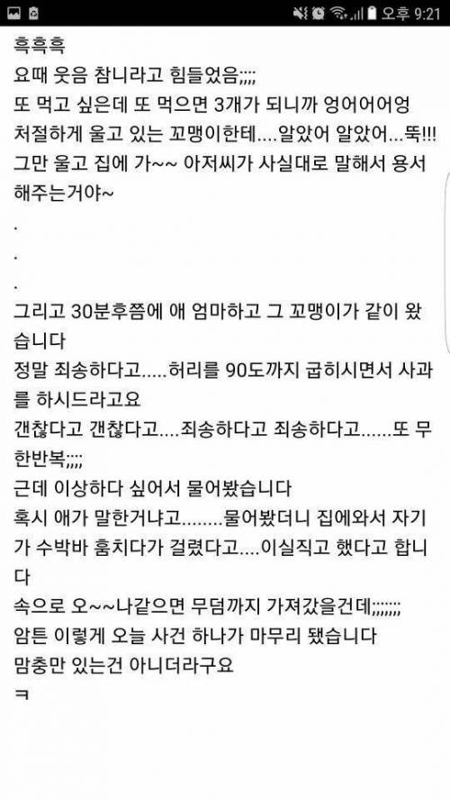 귀여운 아이스크림 절도 미수범