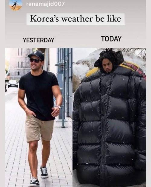 외국인이 경험한 다이내믹 코리아