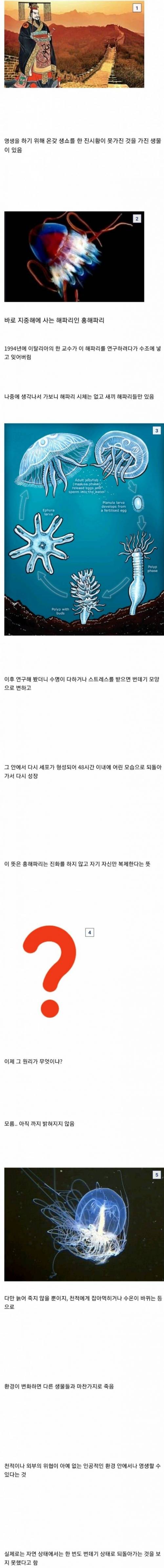 죽지 않는 생물.jpg