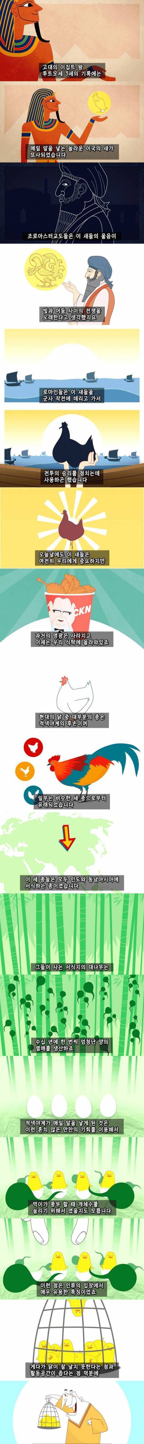 치킨의 역사.jpg