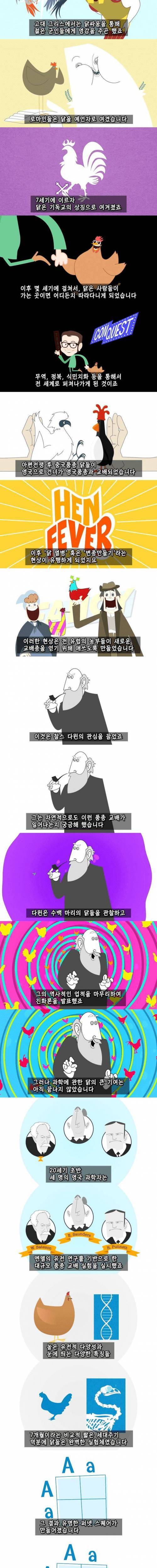 치킨의 역사.jpg