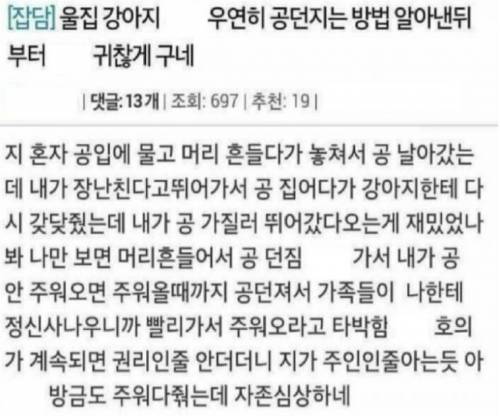 강아지가 우연히 공 던지는 방법 알아냄