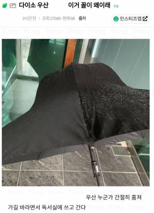 다이소 우산 이거 꼴이 왜이래