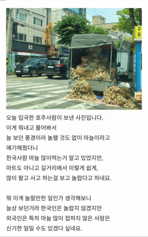 외국인이 놀라워 하는 한국의 푸드트럭