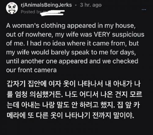 집에서 발견된 다른여자 옷을 보고 불륜을 의심한 아내