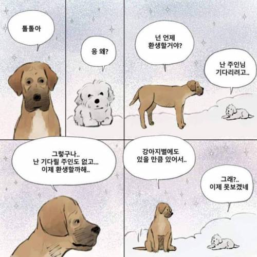 먼저간 개가 주인을 기다린다면 주인 없던 개는?.manhwa