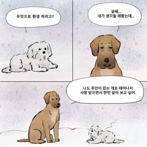 먼저간 개가 주인을 기다린다면 주인 없던 개는?.manhwa