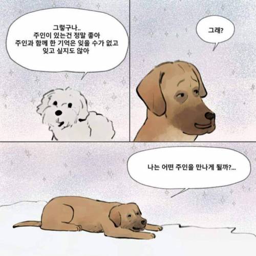 먼저간 개가 주인을 기다린다면 주인 없던 개는?.manhwa