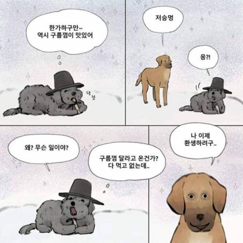 먼저간 개가 주인을 기다린다면 주인 없던 개는?.manhwa