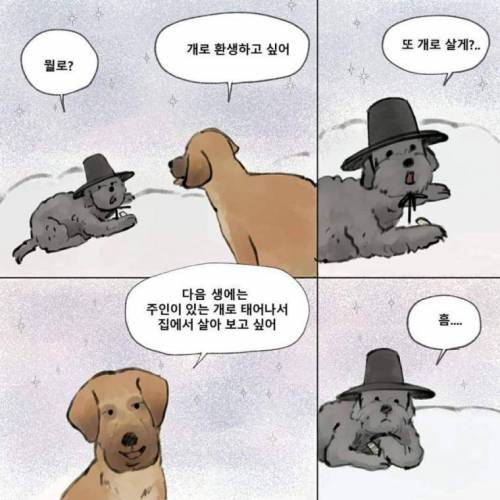 먼저간 개가 주인을 기다린다면 주인 없던 개는?.manhwa