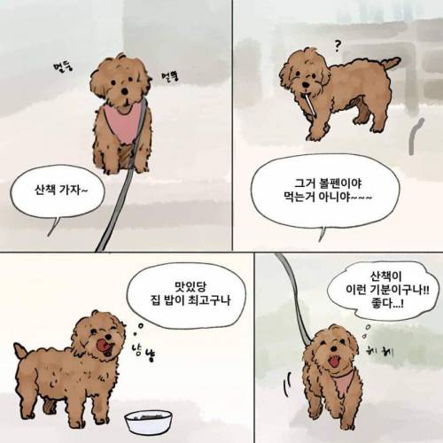 먼저간 개가 주인을 기다린다면 주인 없던 개는?.manhwa