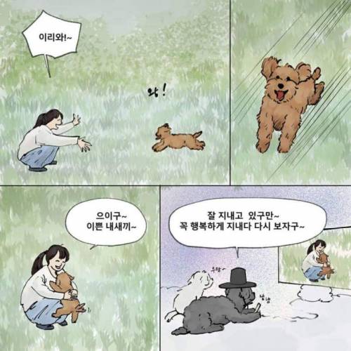 먼저간 개가 주인을 기다린다면 주인 없던 개는?.manhwa