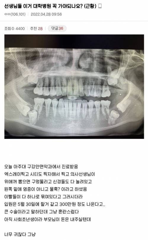 (혐)선생님들 이거 대학병원 꼭 가야되나요? 후기포함