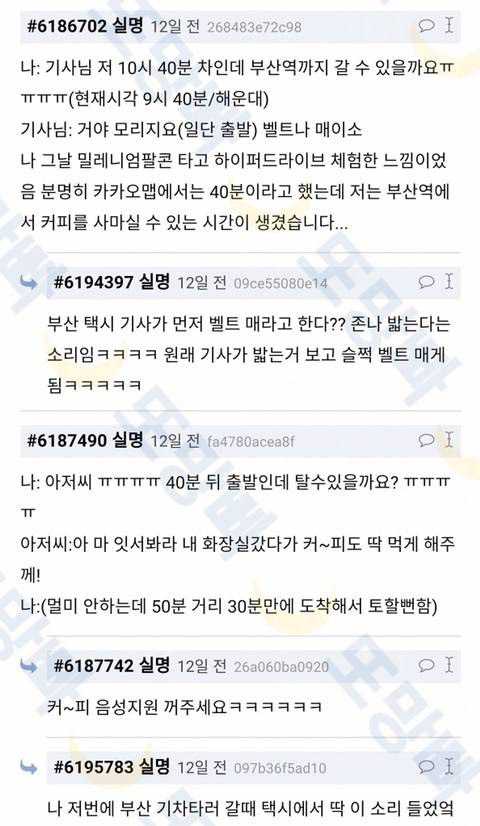 				대한민국에서 운전을 제일 잘하는 도시....jpg