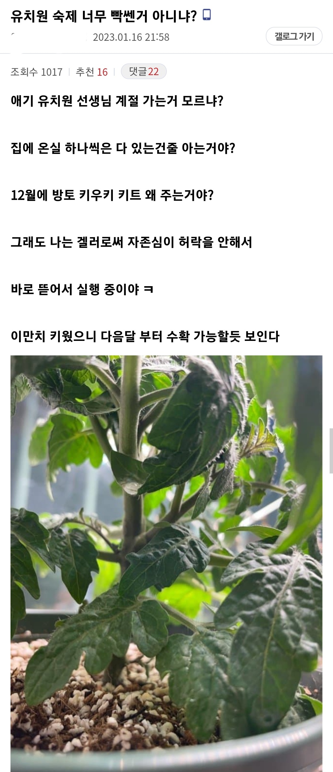 애기 유치원 숙제를 대신해준 식갤러...jpg