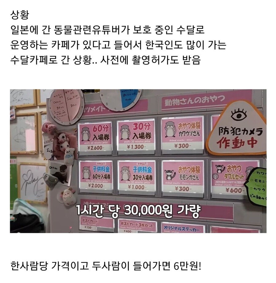 지옥을 구현해 놓은 충격적인 수달 카페