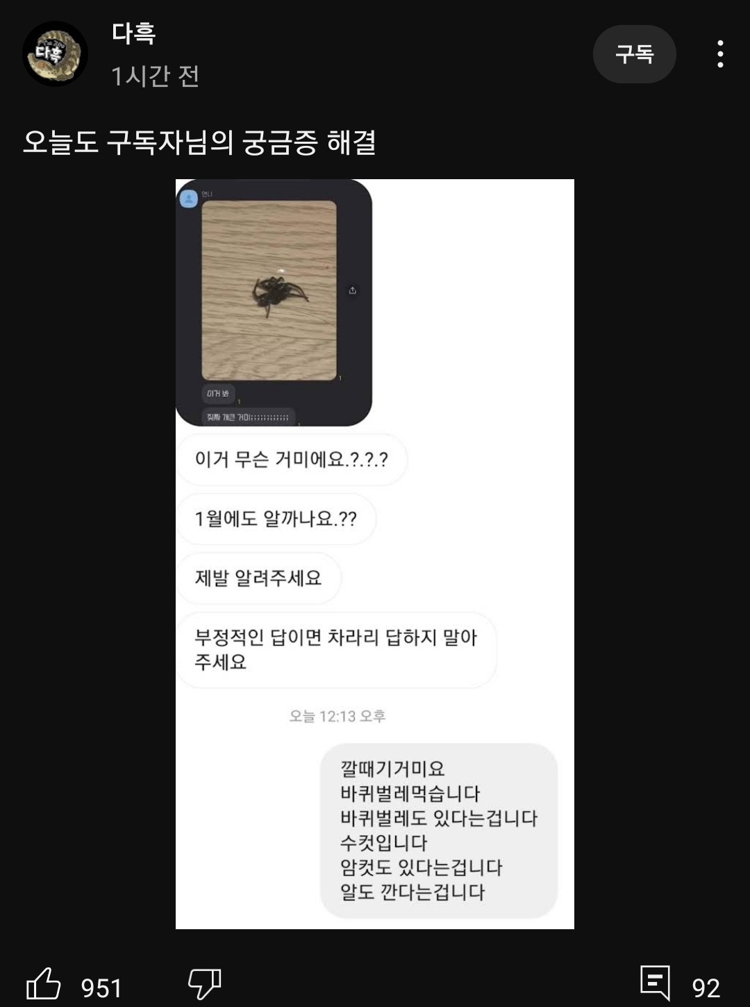 거미에 대한 질문받는 유튜버.jpg