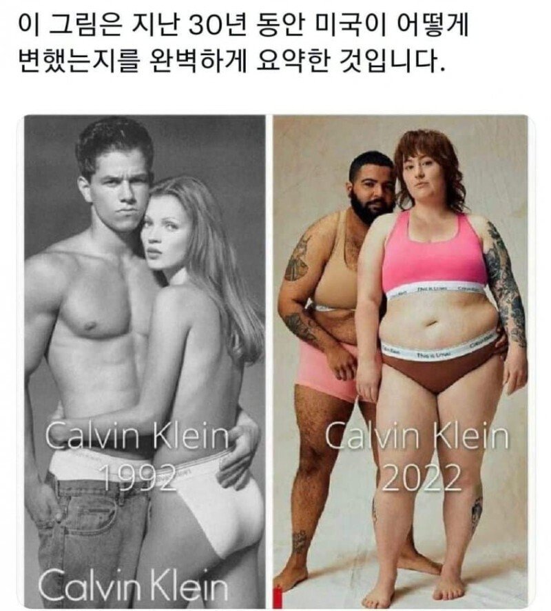 30년동안 미국의 변화 한짤 요약.jpg