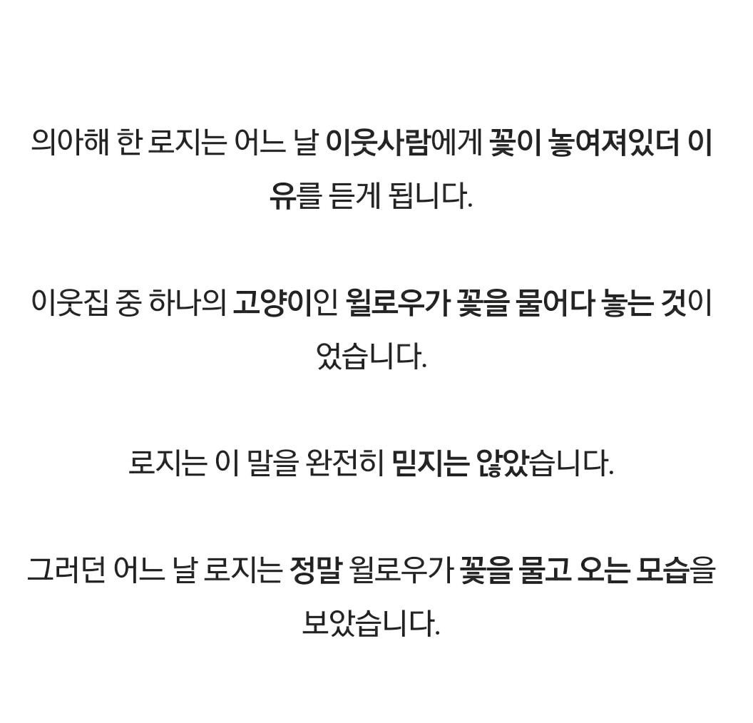 매일 집 현관에 분홍색 꽃이 떨어져 있던 이유.jpg