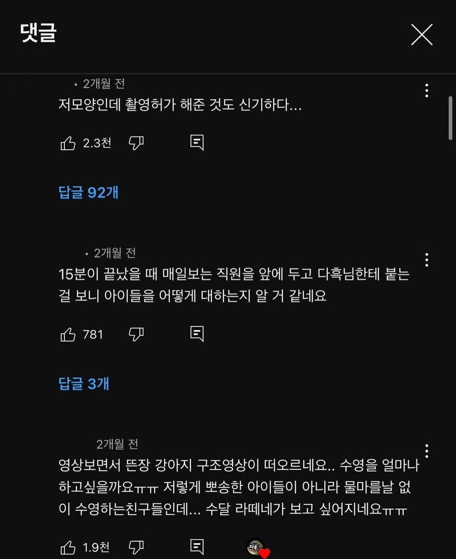 지옥을 구현해 놓은 충격적인 수달 카페