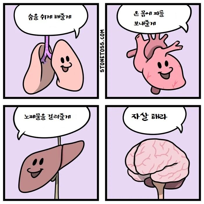 우리 몸에 있는 각 장기들의 기능