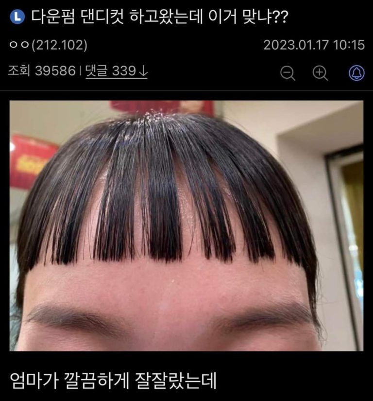 \디씨 헤어갤러리 대참사 레전드.jpg