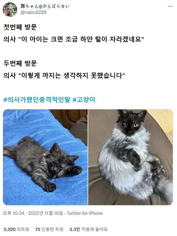 의사에게 들었던 충격적인 말들