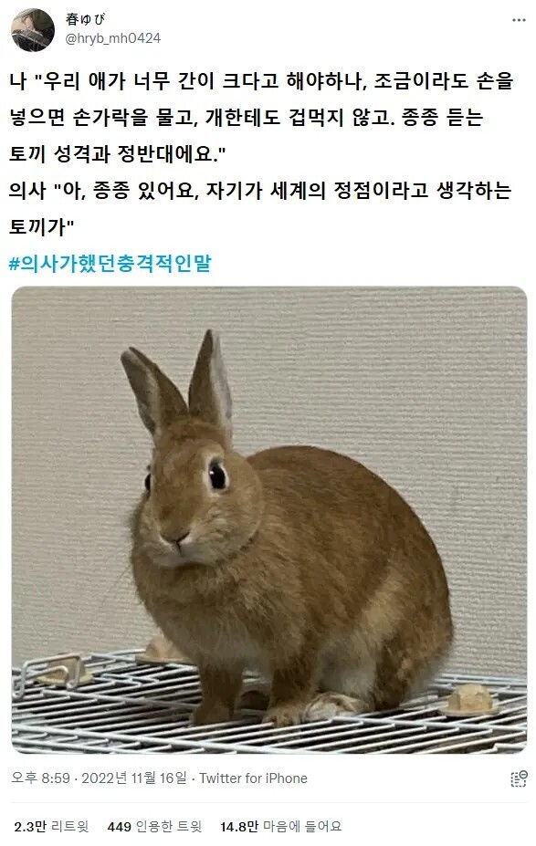 의사에게 들었던 충격적인 말들