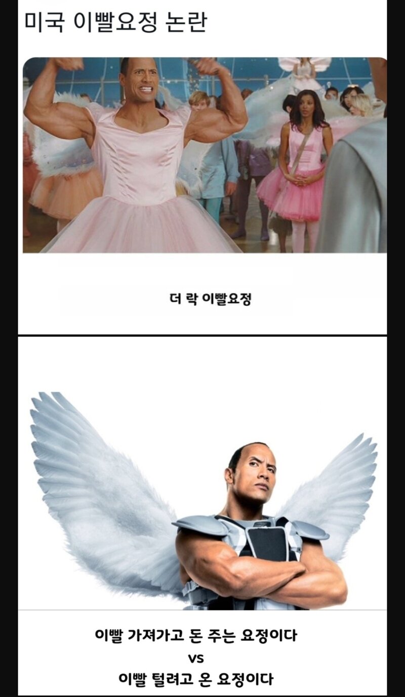 미국의 이빨요정논란