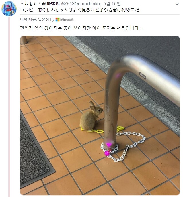 매장에는 애완동물을 출입 시킬 수 없습니다.jpg