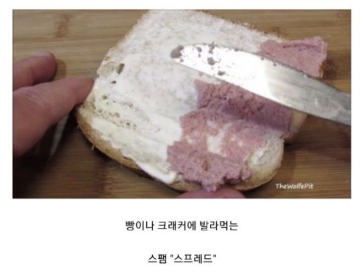 미국에 있다는 발라먹는 스팸.jpg