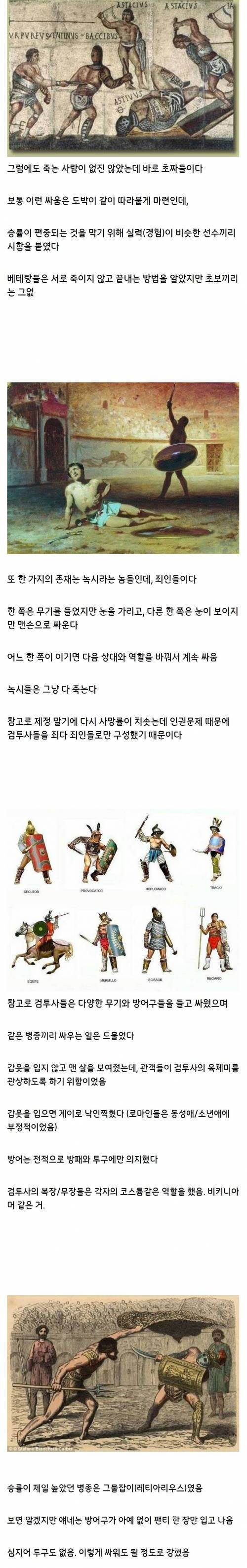 로마 검투사 이야기