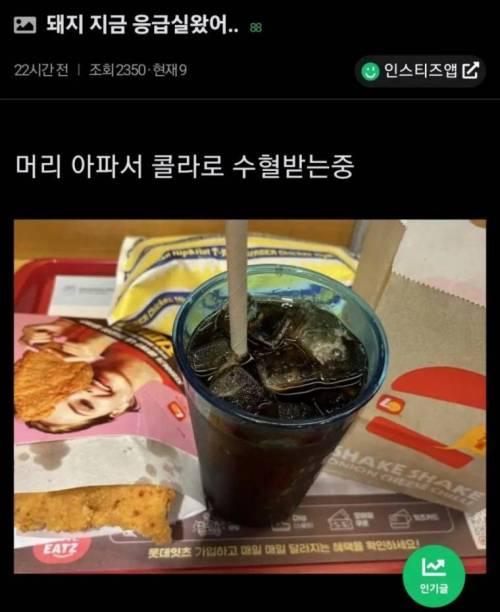 나 돼진데 응급실 수혈받고 있다...jpg